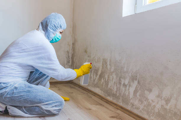 Licensed Mold Testing service in Haddonfield, NJ - WQB Mold Removal