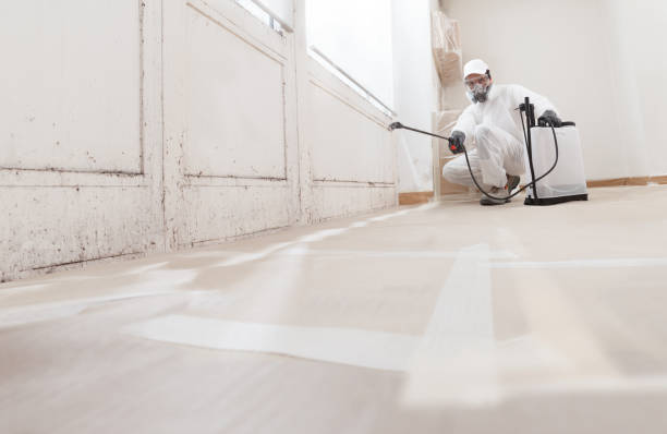 24/7 Emergency Mold Testing experts in Haddonfield, NJ