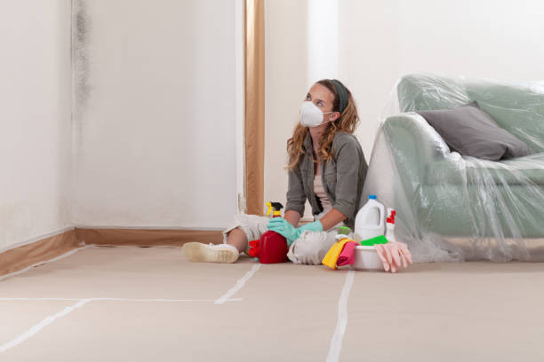 Reliable Mold Testing contractor in Haddonfield, NJ by WQB Mold Removal