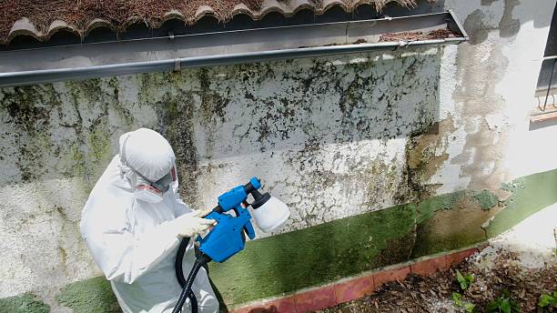 Top rated local Mold Testing specialists in Haddonfield, NJ